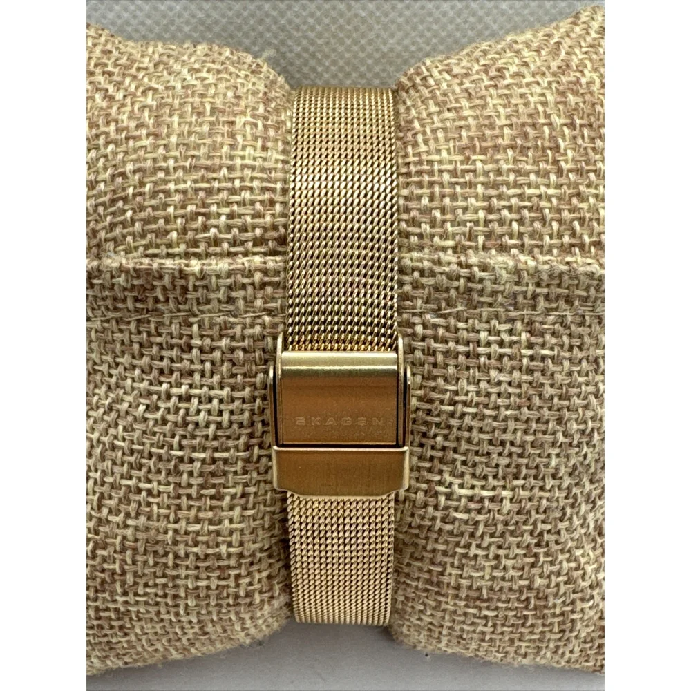 Skagen SKW2151 Womens Stainless Steel Mesh Analog Dial Quartz Wrist Watch AEA280